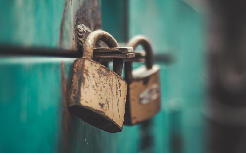 closeup view of two padlocks beside each other protecting a green gate for security