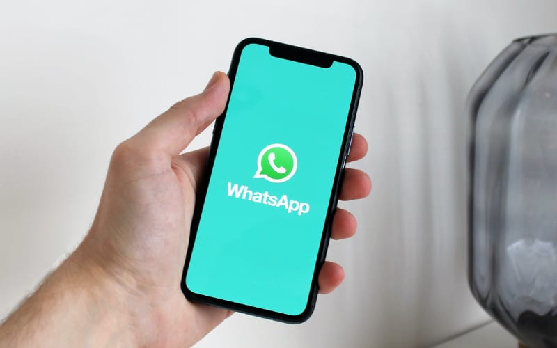 a closeup view of a hand holding a cellphone displaying a whatsapp application with a light blue background